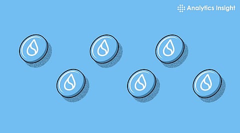 SUI Price Up 1.60% in 24 Hours, What’s ahead?