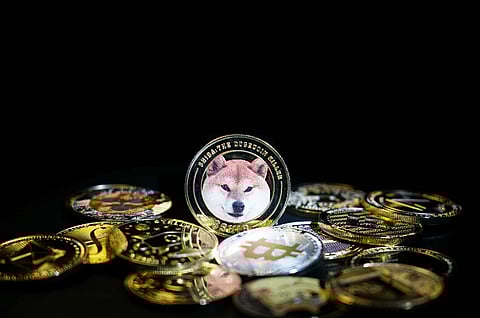 Millionaire From Shiba Inu and Bonk Now Holds a New Token — Could This Be the Next 100x Gem?