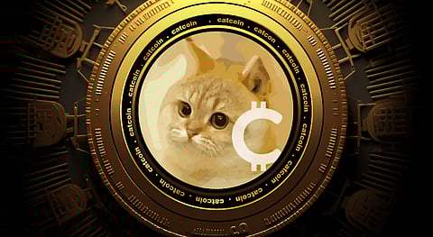 Catcoin.com Next 1000x Coin after Dogecoin and Shiba Inu