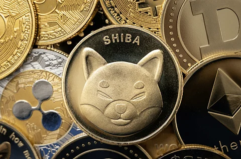$WIF Weathers Memecoin Market Downturn as $GFOX Soars to $5 Million