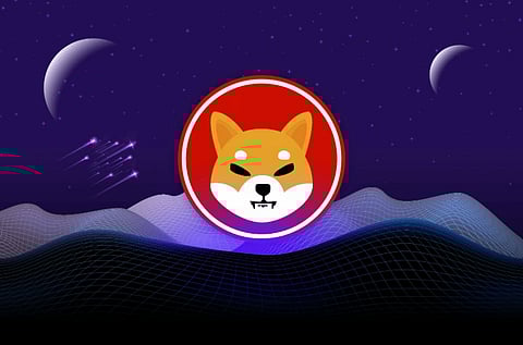 Predicting Shiba Inu’s Future: Analyzing the Latest Zero Drop and Expert Opinions for 2024
