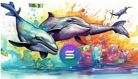 3 cryptocurrencies Solana whales are buying with their SOL Profits