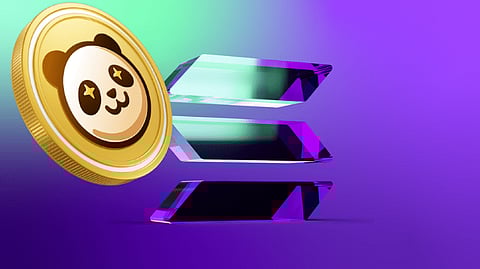 Keep an Eye on Solana (SOL) and Pandoshi (PAMBO): Two Key Cryptocurrencies for 2024