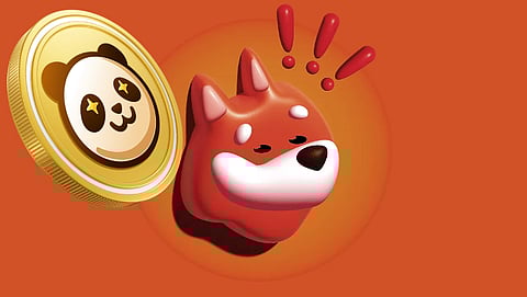 Bonk (BONK) Lacks the Utility to Compete with Pandoshi (PAMBO) Over Time