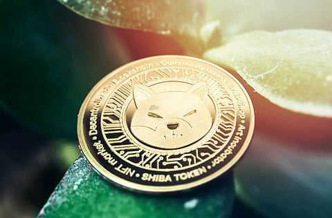 Whales Drive Shiba Inu’s Astonishing 551% Surge; Notable Uptick in Demand for Optimism and Borroe Finance