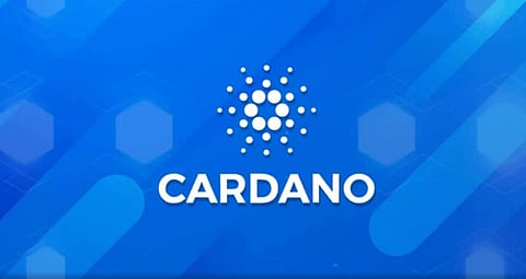 40% Surge For Cardano (ADA) In The Coming Weeks, Option2Trade (O2T) 100X Token Enters The Forex Market