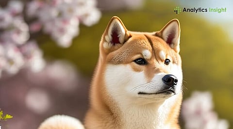 Crypto Alert: Shiba Inu Price Registers 2.1% Decline