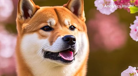 Shiba Inu Price Slides Over 10% in a Week, Investors Cautious