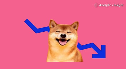 What is Shiba Inu’s Price Prediction for 2024?
