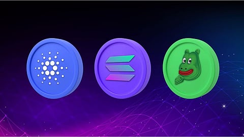 Dogecoin, Shiba Inu, and BEFE Coin Price Predictions For February 2024