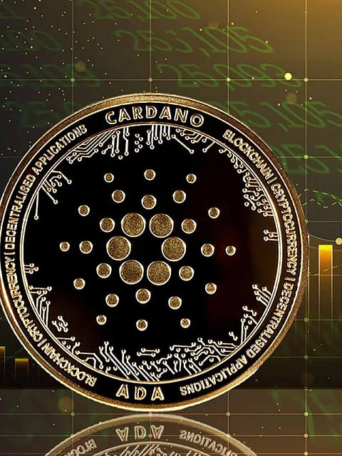 Cardano's 30% Rally Potential Amid Crypto Revival