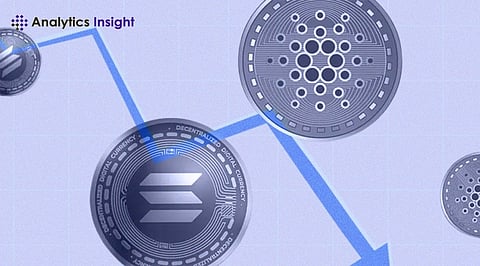 Strategies to Manage Altcoin Volatility and Minimize Risk