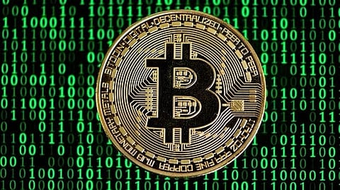 Transform Portfolios: Kelexo (KLXO) Sees Rocket Growth, With Sei (SEI) and Bitcoin Cash (BCH) Offering Support