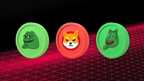 Exploring the Future: PEPE Coin, Shiba Inu Coin, and BEFE Coin Price Predictions Unveiled