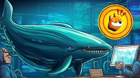 Bonk Whale Holding