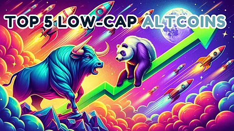 Top 5 Low-Cap Altcoins to Buy as Bitcoin Bull Run Begins: An Analysis of ApeMax, Kaspa, Stacks, Polygon, and Immutable X