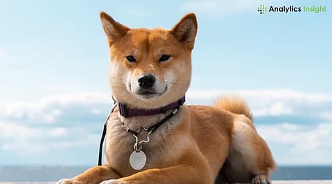 Shiba Inu Outshines Other Meme Coins with 2.1% Surge