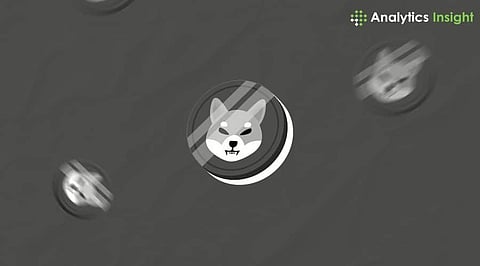 Shiba Inu Price Up 1.01%, Can It Maintain Momentum?