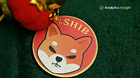 Shiba Inu Price Surges: Is the Bull Run Sustainable?