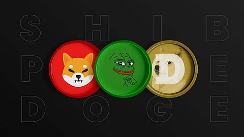 Best Crypto Investments In 2024, Top Analyst Expect 100X Growth