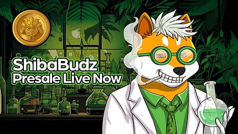 Shiba Inu (SHIB) Investors Join New Presale positioned for 100X