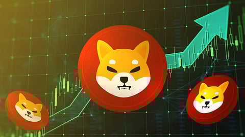 Meme Coin Investors Flock Into New Shiba Inu (SHIB) Competitor, SHIB Holders Profits In New Altcoin