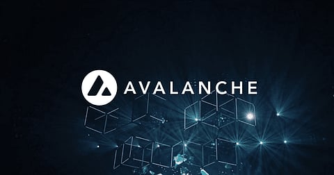 Koala Coin (KLC) Entices Tron (TRX) and Avalanche (AVAX) Fans with Early Access to Its Lucrative Presale