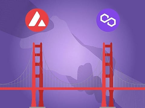 Milei Moneda Prepares To Steal Investors’ Attention While Avalanche and Polygon Move Slow