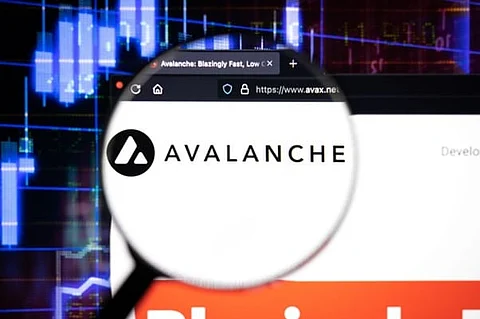 NuggetRush Meme Game Is Poised For The Moon As Investors Show Interest In Presale as Avalanche Gains