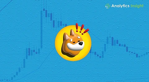 Bonk Price Analysis: Rise of a Solana Meme Coin