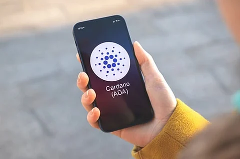 Interest Shifts to Borroe Finance’s Presale Amid Cardano and Worldcoin’s Lagging Progress