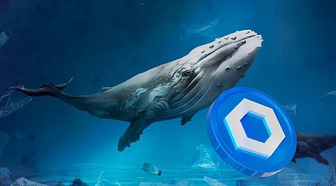 Chainlink (LINK) Sees Over 7% Surge as Whales Fuel Price Momentum