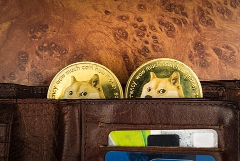 Dogecoin’s Upward Trajectory Spurs Market Optimism; Uniswap & AI Newcomer Anticipate 50X Returns in 2024
