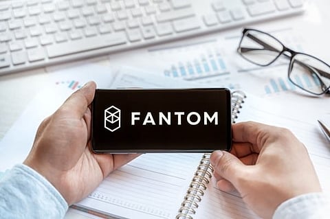 Price Predictions for Fantom and BNB: Milei Moneda Presale Continues To Raise Funds While Early Investors Position for Possible 100x