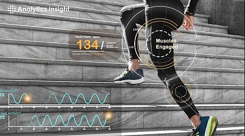 How Data Analysis Play a Key Role in IPL?
