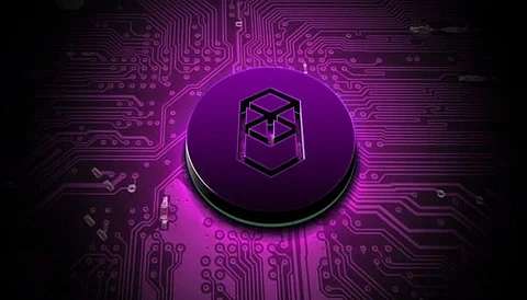 Uniswap And Fantom Demonstrate Great Bull Cases While Milei Moneda Presale Receives High Influx of New Buyers