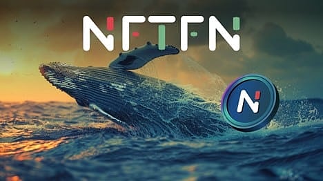 Beyond the Peak: Inside the Strategy of Crypto Whales Turning Bull Run Wins into Exponential Growth with NFTFN Token