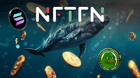 Solana (SOL) Whale Investors Migrate To New PEPE Competitor Priced $0.025