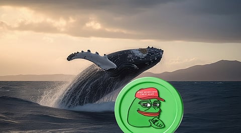 PEPE Rallies on Major Whale Buys and Enhanced Binance Support