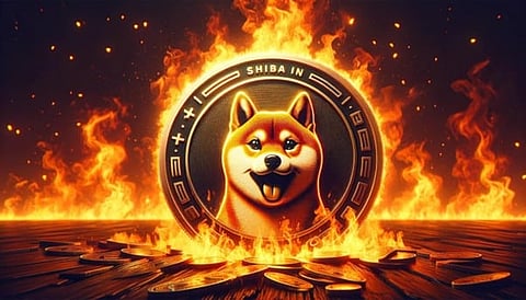 Raffle Coin (RAFF) Buzz: Analysts Predict 40X Obtainable With More Shiba Inu (SHIB) and Ethereum (ETH) Holders Rush Presale