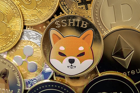 Dogecoin (DOGE) & Shiba Inu (SHIB) Communities Find a New Favorite in Koala Coin (KLC): Presale Frenzy Unleashed