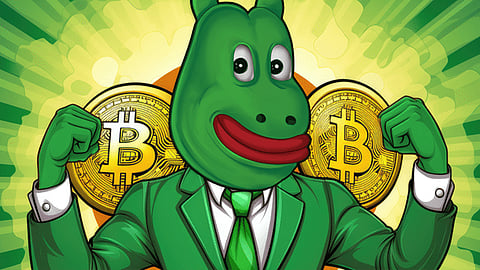 In the World of Meme Coins: SLERF, Shiba Inu, and BEFE Coin – Which Holds the Key to Success?