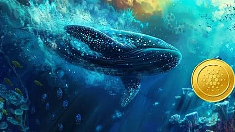 ADA Holders Alarmed as Competitor Starts Pushing Cardano to the Shadows, Whales Migrating