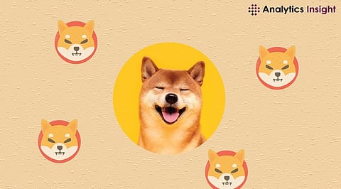 SHIB Name Service Update Boosted Price by 51%