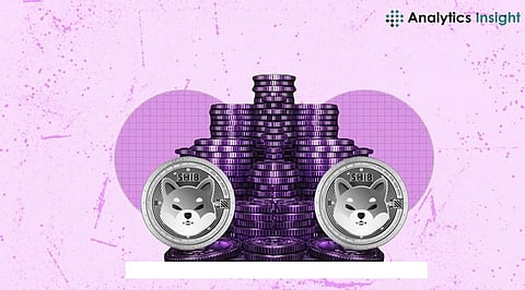 Shiba Inu Investment: What You Need to Know