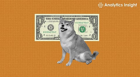 Shiba Inu Price Prediction for March 2024