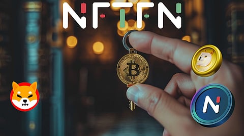 The Ultimate Trio for 2024: NFTFN, Shiba Inu, and DOGE – Your Key to Crypto Riches