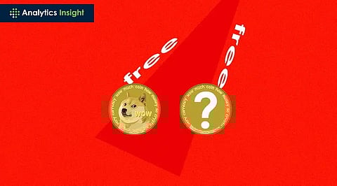 Why This Meme Coin Demands Your Investment in March 2024