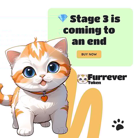 Crypto Market Update: Binance Coin (BNB) Rallies by 20%, Solana (SOL) Surges Unexpectedly to $190, and Furrever Token Shows a Bright Presale Outlook