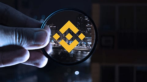Koala Coin (KLC) Lures Chainlink (LINK) and Binance Coin (BNB) Investors Poised for a 100X Leap in the Meme Coin Arena